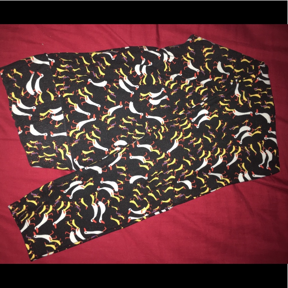 Goose and duck Lularoe TC leggings